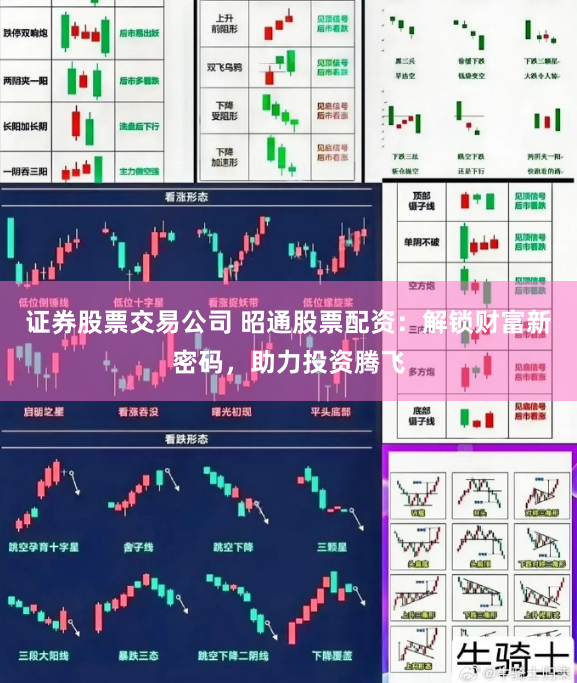证券股票交易公司 昭通股票配资：解锁财富新密码，助力投资腾飞